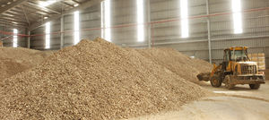 Chips de Yuca Premium 100% de Vietnam con Más de 12 Meses de Vida Útil, Listos para Usar, para Exportación al por Mayor - Product Image 2