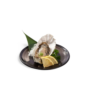 หอยนางรมสดคุณภาพสูงจากฟาร์ม บรรจุแช่แข็งพร้อมเปลือก น้ำหนัก 25 กก. สำหรับร้านค้าปลีกและช่องทางการค้า - Product Image 1