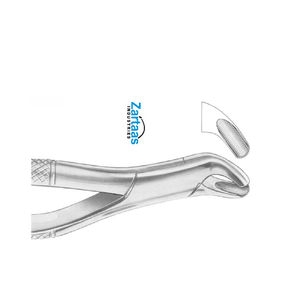 Fórceps de extracción de acero inoxidable de alta calidad, molares superiores, Fig. 24, exportadores y fabricantes - Product Image 3