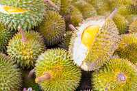 Verse Durian Monthong Vietnam Export-Viet Delta Verse Fruit Eco-Fruit 30-45 dagen houdbaarheid -18°C opslag