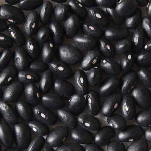 Buy Dried Black <b>Kidney</b> <b>Beans</b> for Sale - Product Image 5