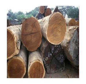 Troncos de haya a granel de regiones reconocidas por sus prácticas forestales sostenibles y la calidad premium del madera, distribución al por mayor - Product Image 3