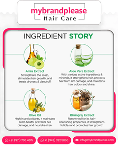แชมพูควบคุมการตกของมะเฟือง Amla ขนาด500มล. พร้อมสารสกัดจากน้ำมันมะกอกว่านหางจระเข้และชบา - Product Image 4