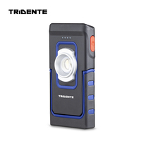 Tridente RF05006 Lampe d'inspection LED halogène sans fil 16,8 V CC avec station d'accueil, 100-300 lumens, étanche IP65, intensité réglable 2,5