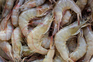 กุ้งขาว vannamei แช่แข็งแบบสด - Product Image 2