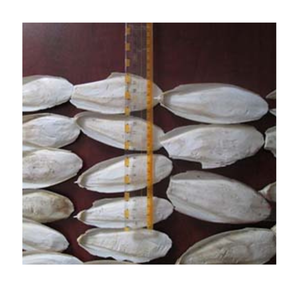 100% Os de seiche séché au soleil naturel meilleure qualité oiseaux nourriture os de seiche calmar os de seiche en vente - Product Image 1