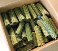 Pajitas biodegradables para césped, fabricación de pajitas de hierba respetuosas con el medio ambiente vietnamita