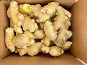 Gingembre frais de première qualité, origine UE, vente en gros, qualité supérieure, 25 kg, tailles mélangées - Product Image 6