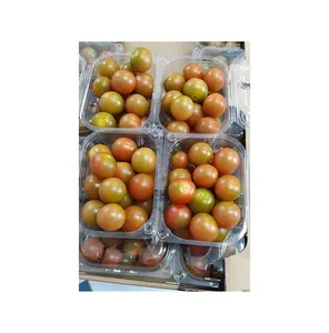 Proveedor de origen egipcio de alta calidad al por mayor de frutas frescas a granel tomates vegetales frescos rojos cereza al mejor precio