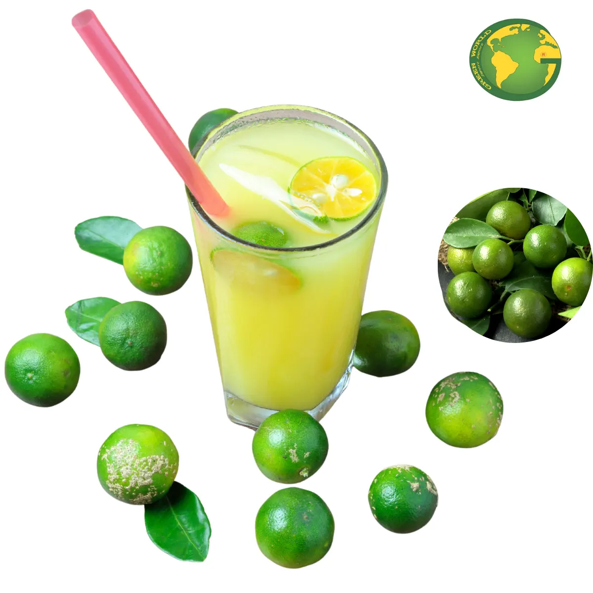 FROZEN CALAMANSI PUREE FROM VIETNAM WITH HIGH QUALITY - BEST CHOICES CALAMANSI JUICE WITH HIGH QUALITY AND RICH VITAMIN FOR YOU