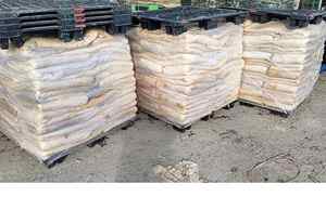 Best Price Raw <b>Wet</b> Salted and Dried Cow Leather / Hides / Skins Bulk Stock Available - Product Image 6