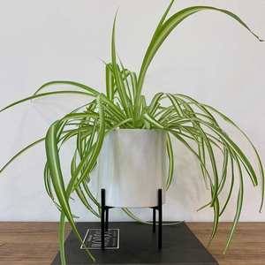 Maceta de Cerámica para Jardín, para Plantas de Interior y Exterior, Decoración Elegante para el Hogar - Product Image 4