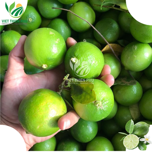Chanh không hạt tươi ngon, giá tốt từ Việt Nam - Mùa vụ mới nhất, chanh tươi/chanh xanh - Product Image 2