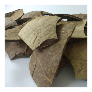 Cáscara cruda de coco duradera al por mayor para hacer carbón activado, piezas decorativas, muebles de bricolaje y obras artísticas - Product Image 5