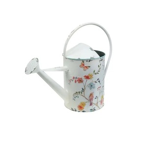 Top tendance Meilleures ventes Arrosoirs personnalisés modernes arrosoirs enduits de poudre avec poignée long bec d'eau peut - Product Image 3