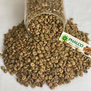 เมล็ดกาแฟโรบัสต้าคุณภาพสูง PHALCO เกรด 1 ขนาดกรอง 16/18 จากเวียดนาม ดักลัก 1000 กก. ราคาดีที่สุด พร้อมส่งออก บรรจุถุงกระสอบ - Product Image 5