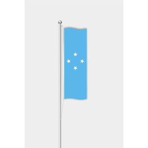 Outdoor Custom 3x5ft Micronesia <b>Flag</b> Beach <b>Flag</b> with Digital Printing on Silk Polyester Aluminum Fiberglass <b>Pole</b> <b>for</b> Display - Product Image 1