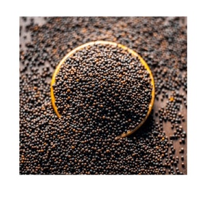 น้ำมันออแกนิคสีดำมัสตาร์ดเครื่องเทศเครื่องเทศแบบเดี่ยว - Product Image 5