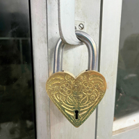 Cadenas en métal Acier Résistance maximale Serrure en forme de coeur Serrure de service Résistance à la rouille Cadenas parfait Cadenas abordable Forme unique