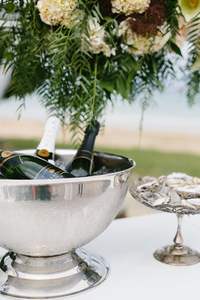 Seau à glace en aluminium pour bois de cerf et champagne pour bar et fête Accessoires décoratifs Fournitures de fournisseur indien - Product Image 5