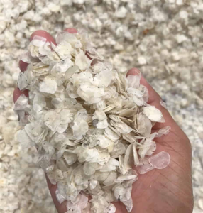 Escalas de besugo secas de alta calidad-Suministro 2024 | Proveedor de Vietnam | Procesado y descalcificado - Product Image 2