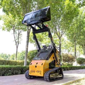 Utilisé pour mini-chargeuse compacte sur chenilles avec moteur diesel et pompe hydraulique - Couple de charge élevé - Product Image 4