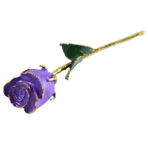 Natural Preserved <b>Rose</b> With Multi Color Design <b>Rose</b> 24k <b>Gold</b> Dipped <b>Rose</b> - Product Image 2