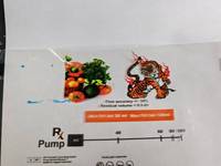 Imprimante jet d'encre haute résolution série IPS-65 pour codes-barres, codes QR et cartes de données variables, impression sur cuir et matériaux souples