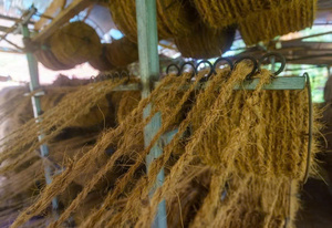Tapis en fibre de coco tapis fibre de coco NET MAT Fibres agricoles pour l'agriculture pour l'extérieur pour les animaux pour les plantes pour le jardin - Product Image 3