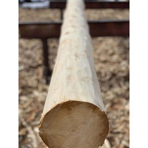 Bois rond industriel lourd et durable pour la construction et l'infrastructure - Product Image 6