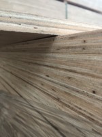 Vietnam contreplaqué 18mm de haute qualité pour la construction en extérieur