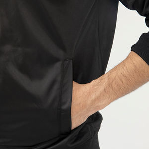 Light Weight Custom 100% Polyester Sleeve <b>Stripe</b> Causal Plain Blank Stand up Collar Zipper Closure Tracksuits for Men's - Product Image 5