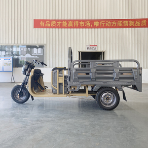 Grande puissance bon <span class=keywords><strong>prix</strong></span> tricycle cargo tricycle électrique <span class=keywords><strong>3</strong></span> <span class=keywords><strong>roues</strong></span> <span class=keywords><strong>moto</strong></span> tricycle à trois <span class=keywords><strong>roues</strong></span> durable cargo tricycle pour adultes - Product Image 2