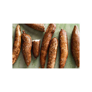 Fresh <strong>cassava</strong> available in bulk for export to global food markets - Product Image 5