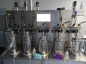 Bailun 2L sintético inactivo sinónimo escala de laboratorio biorreactor biorfermentador utilizado para el cultivo de la BLBIO-GJ - Product Image 2