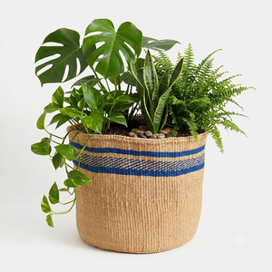 Maceta Tejida de Seagrass Ecológica y Duradera con Rayas Irregulares para Decoración de Jardín Interior/Exterior del Hogar - Product Image 5