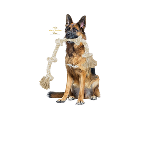 Juguete Masticable para Perros de Fibra de Coco Natural Ecológico, Juguete de Entrenamiento para Mascotas, Embalaje de Cartón, Regalo de Navidad y Cumpleaños, Duradero - Product Image 4