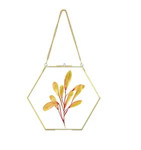 Hexagon Pressed Plant Dried Flowers <b>Leaves</b> Wall Decor Brass Hanging Frame for Display for Decoration Use - Product Image 1