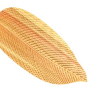 Ensemble de Plats d'Alimentation pour Bébé en Bois Écologique Logo Gravé Personnalisé Plateaux en Bois Dur Naturel pour Service de Nourriture Biologique - Product Image 5