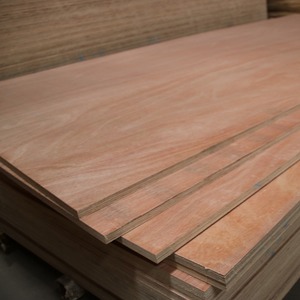 Construcción comercial de madera contrachapada laminada de abedul marino Compre calidad premium Entrega rápida disponible hoy - Product Image 3