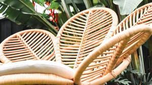 Silla de mimbre para interiores, nuevo diseño, aspecto de bambú, restaurante, exterior e interior - Product Image 5