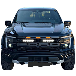 USATO Ford F150 Raptor 2025 3.5L 6 Cilindri Potenza-336kW(457hp) 4x4 Carburante-Benzina Euro6 Trasmissione Automatica Guida a Sinistra - Product Image 1