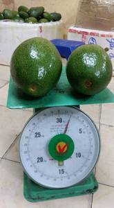 Cabina de aguacate Hass orgánico 100% de alta calidad cultivado a buen precio aguacates frescos de origen vietnamita - Product Image 3