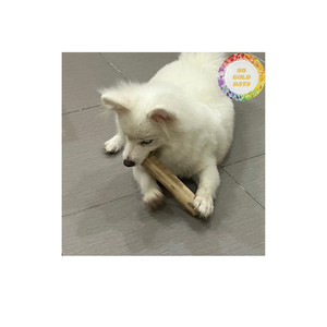 ไม้เคี้ยวทนทานของเล่นสำหรับสัตว์เลี้ยงทำจากไม้เนื้อแข็งสำหรับสุนัขแมวและสัตว์ฟันแทะผลิตในเวียดนาม - Product Image 6