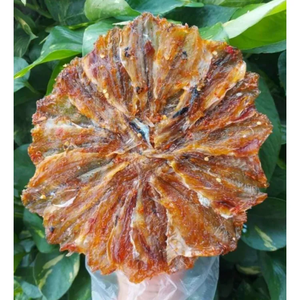 ปลาคราดแห้งเวียดนาม ผู้จัดจำหน่ายอาหารทะเล ปลาคราดแห้งปรุงรส พร้อมปรุง คุณภาพดีที่สุด ANGLE - Product Image 3