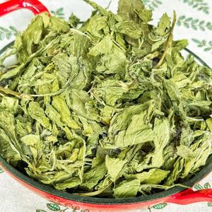 DE VIETNAM BLUE LOTUS MS AMELIA + 84855014447 TÉ DE MENTA SECO HOJA DE MENTA HIERBAL HOJA DE ALTA CALIDAD - Product Image 4