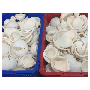 Leche de Coco Congelada, Mezcla Cremosa Natural para Recetas; Leche de Coco Congelada Ideal para Smoothies, Platos Veganos, Curry - Product Image 3