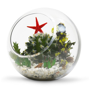 VBW6106 - Slant Bubble Bowl <b>Vase</b> - 5.5 - Product Image 6