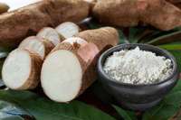 Poudre de farine de tapioca vietnamien de haute qualité 100% naturel pur polyvalent sain pour la transformation des aliments qualité d'exportation boîte de 50kg