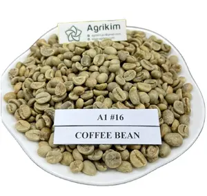 热卖越南绿色咖啡豆高档批发散装罗布斯塔/阿拉比卡咖啡豆 [免费样品]